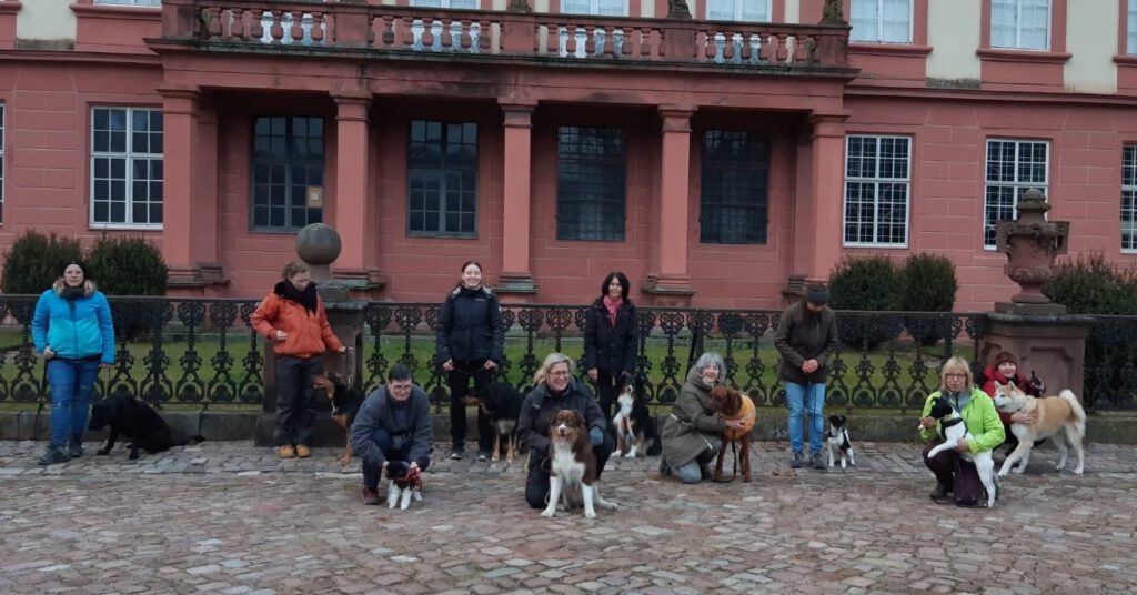 Teilnehmer am Stadttraining